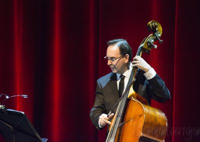 Festival Tango Al Mayor1